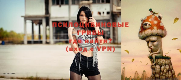 spice Алексеевка