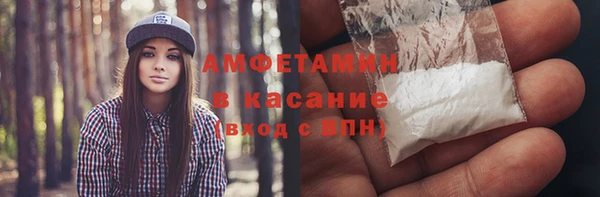гашик Алексин