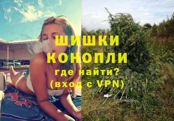 ГАЛЛЮЦИНОГЕННЫЕ ГРИБЫ Алзамай