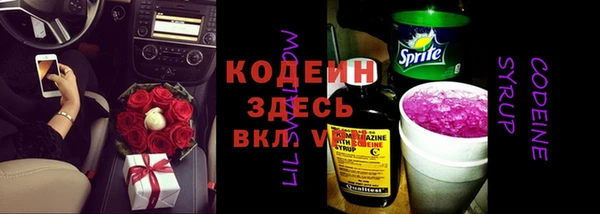 гашик Алексин