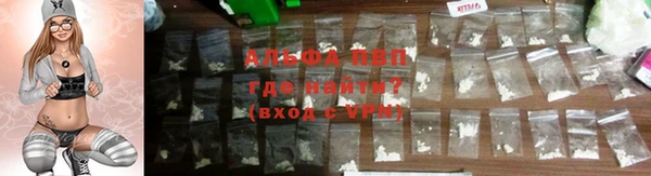 гашик Алексин