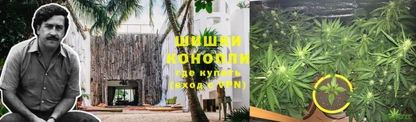 spice Алексеевка