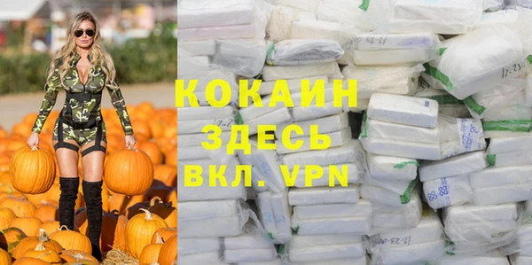 гашик Алексин