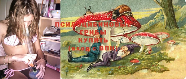 стафф Нягань