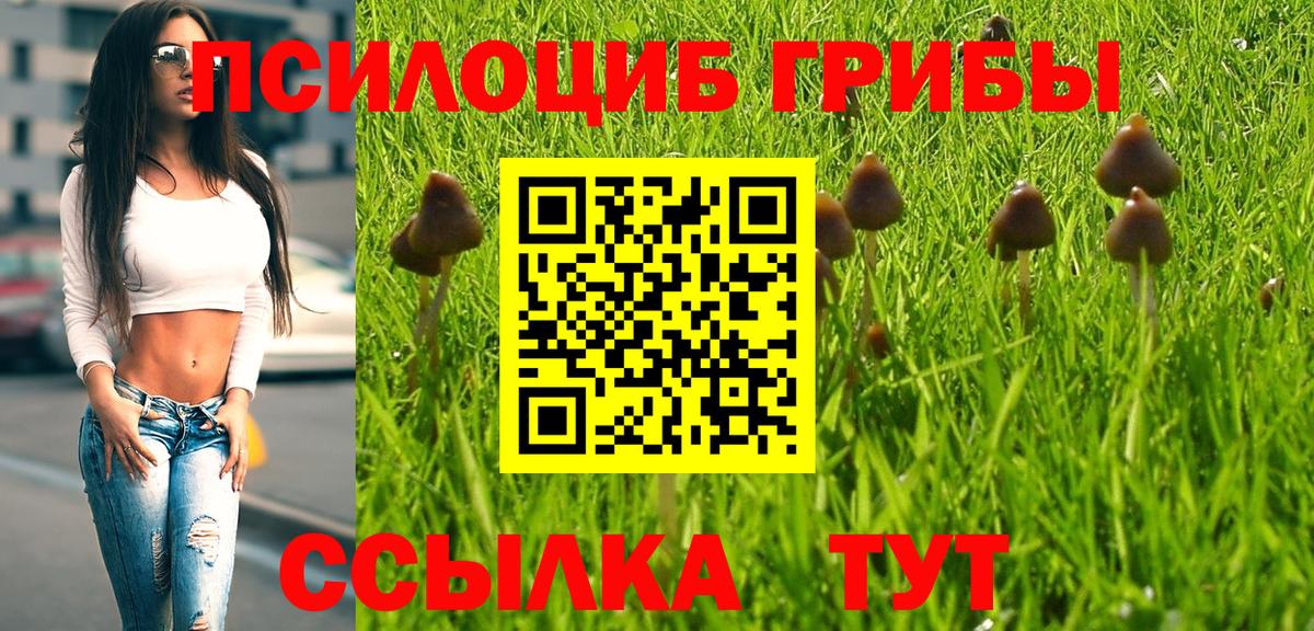 Галлюциногенные грибы Magic Shrooms Пермь