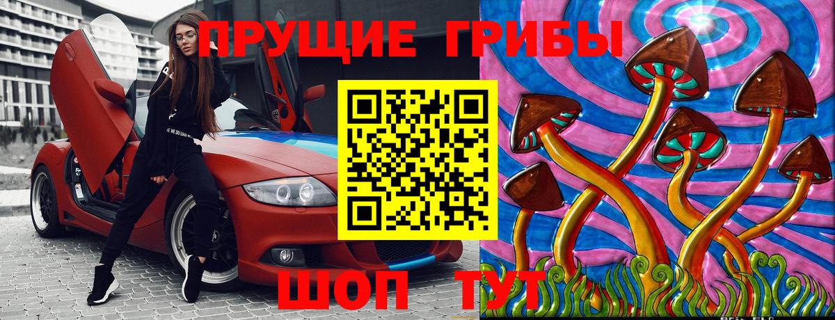 Псилоцибиновые грибы Cubensis  наркота  Пермь  Вход с VPN 